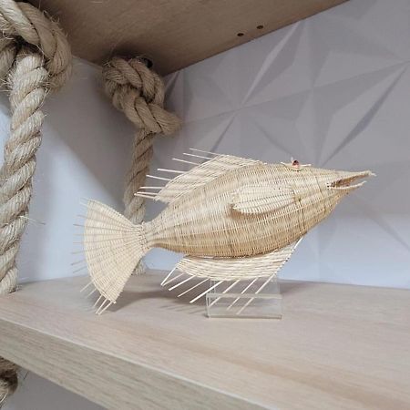 Flat Amarilis Apartamento 103 리비에라 지 상로렌수 외부 사진